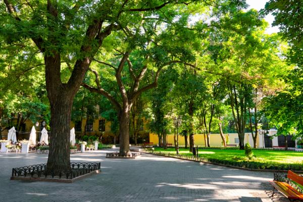 Bringing nature into cities helps make them healthier, more sustainable, and better prepared for the challenges of climate change. © s_oleg, Shutterstock.com